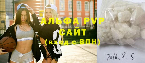 индика Нея