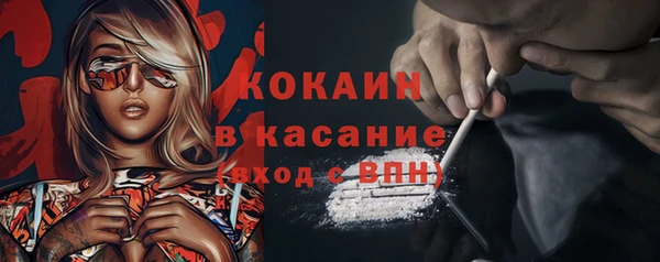 индика Нея