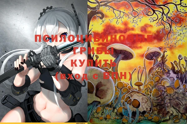 индика Нея