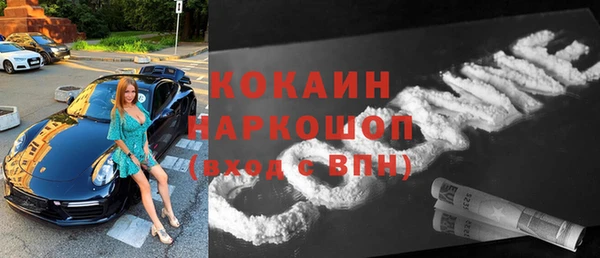 индика Нея