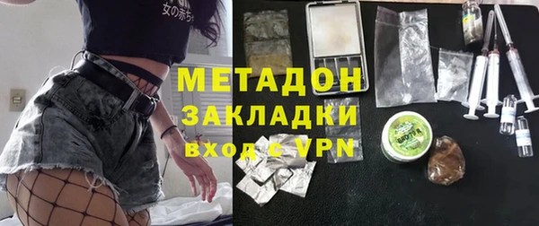 индика Нея