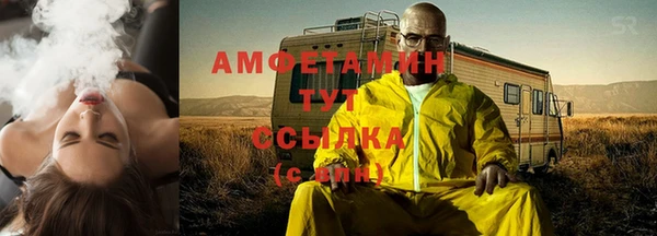 индика Нея