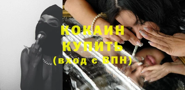 индика Нея